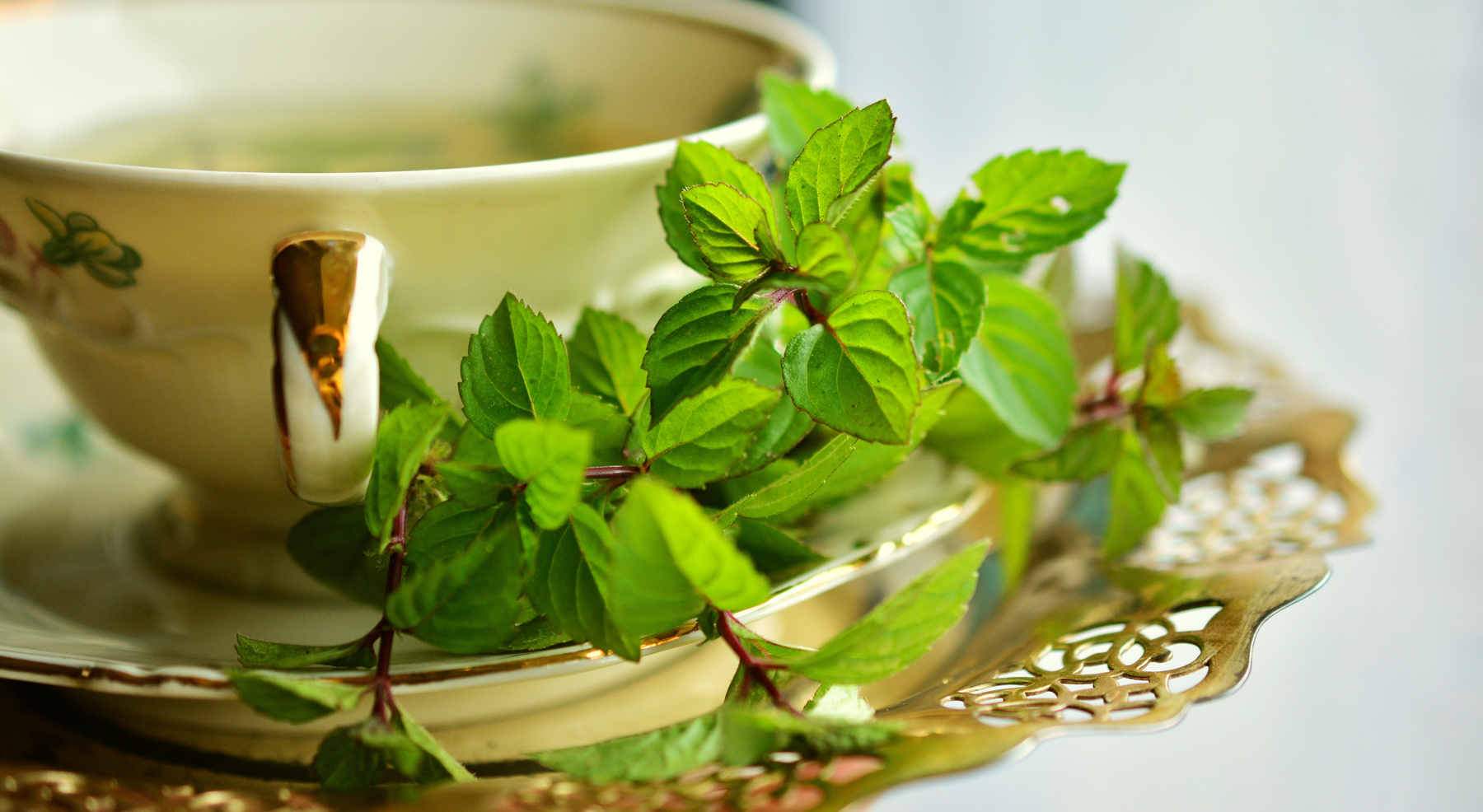 Peppermint Tea Cup